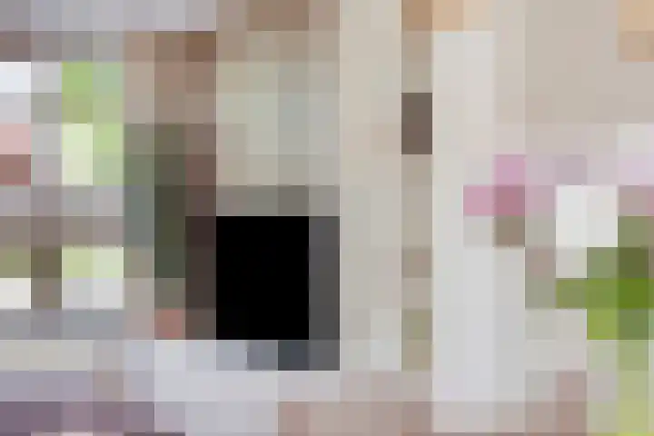 Mozartstraat 87 Elst thumbnail 20