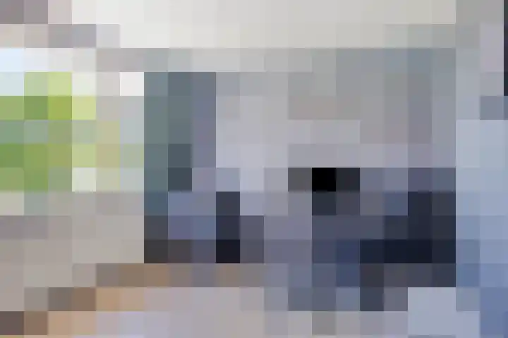 Mozartstraat 87 Elst thumbnail 32