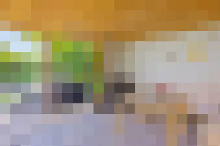 Mozartstraat 87 Elst thumbnail 47