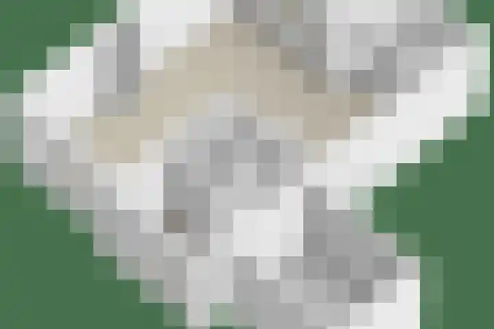 Mozartstraat 87 Elst thumbnail 57