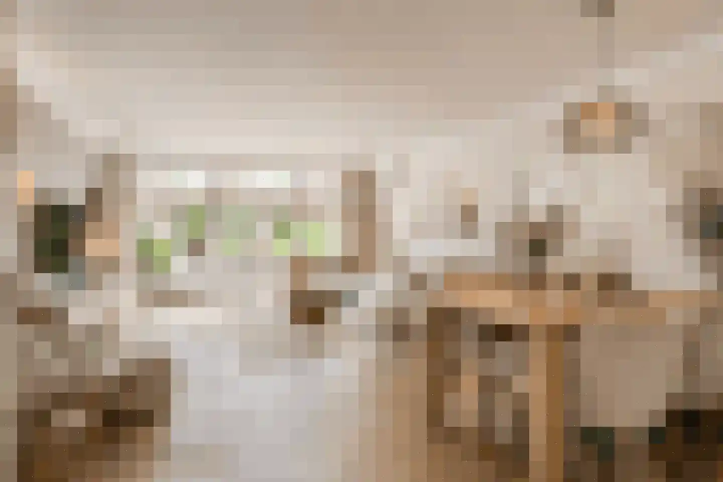 Mozartstraat 9 Bunschoten-Spakenburg thumbnail 5