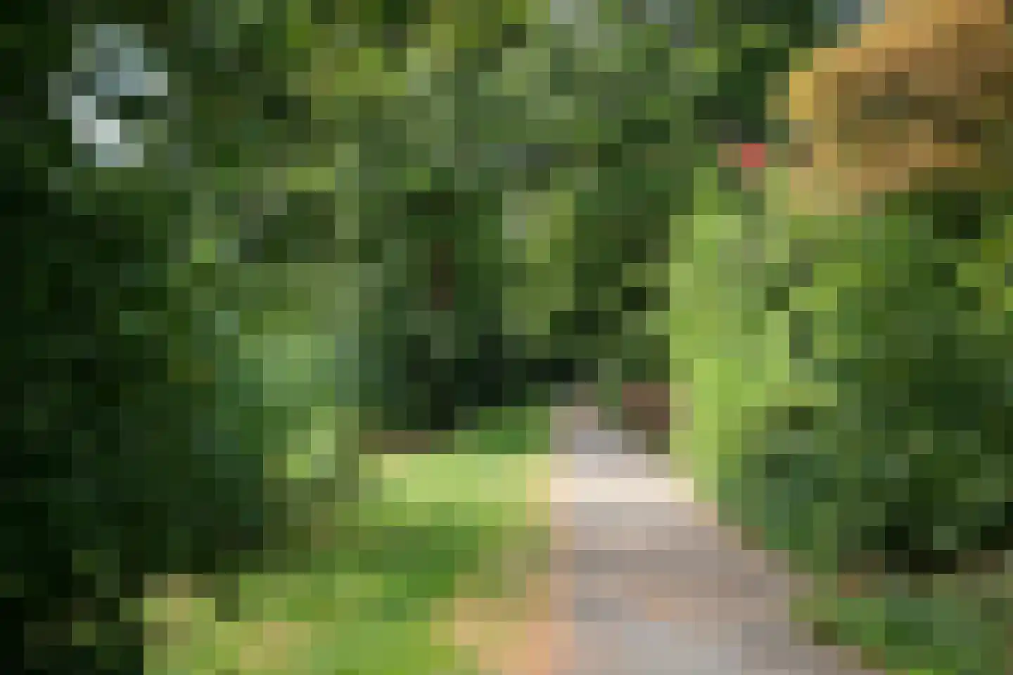 Mozartstraat 92 Almelo thumbnail 22