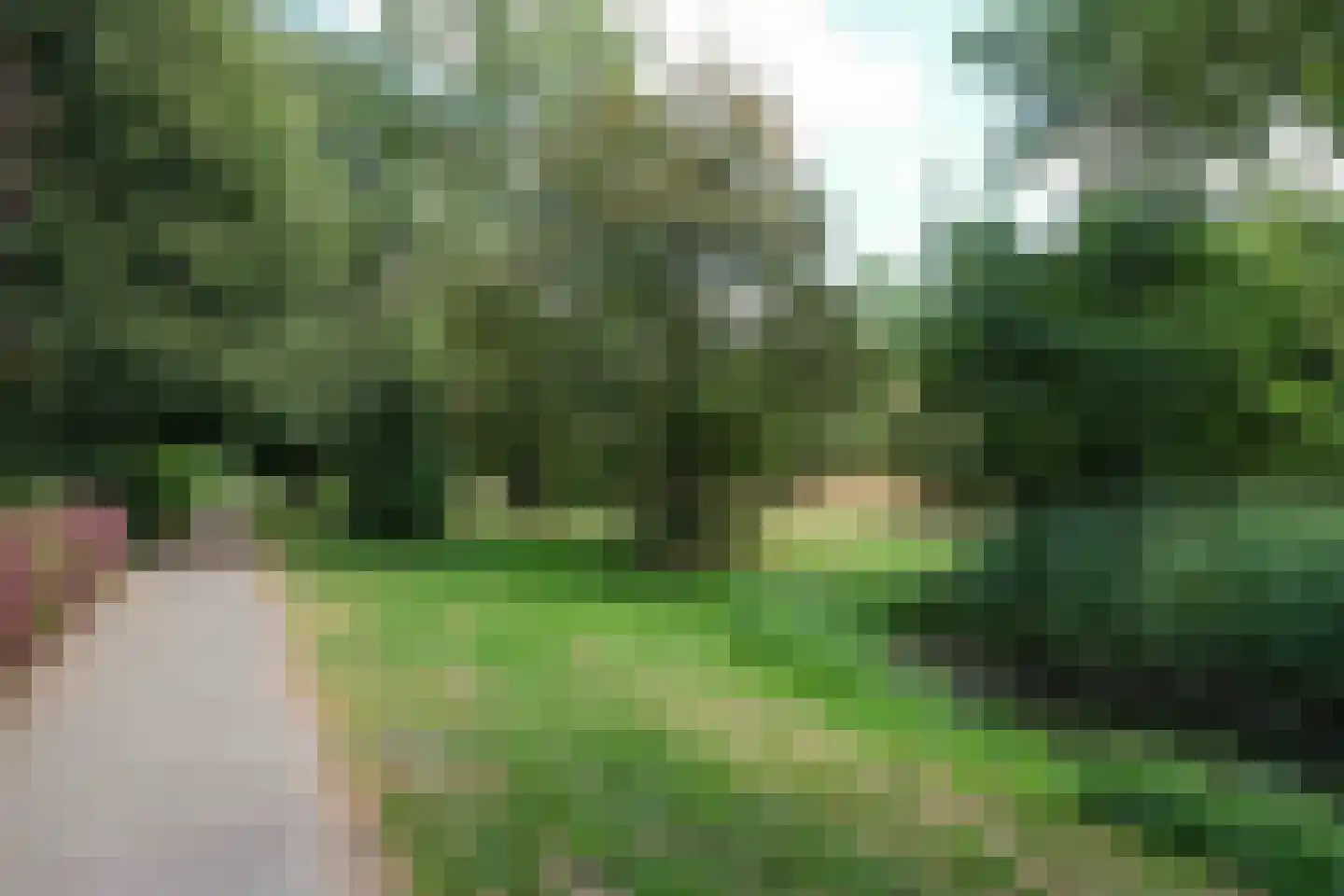 Mozartstraat 92 Almelo thumbnail 23