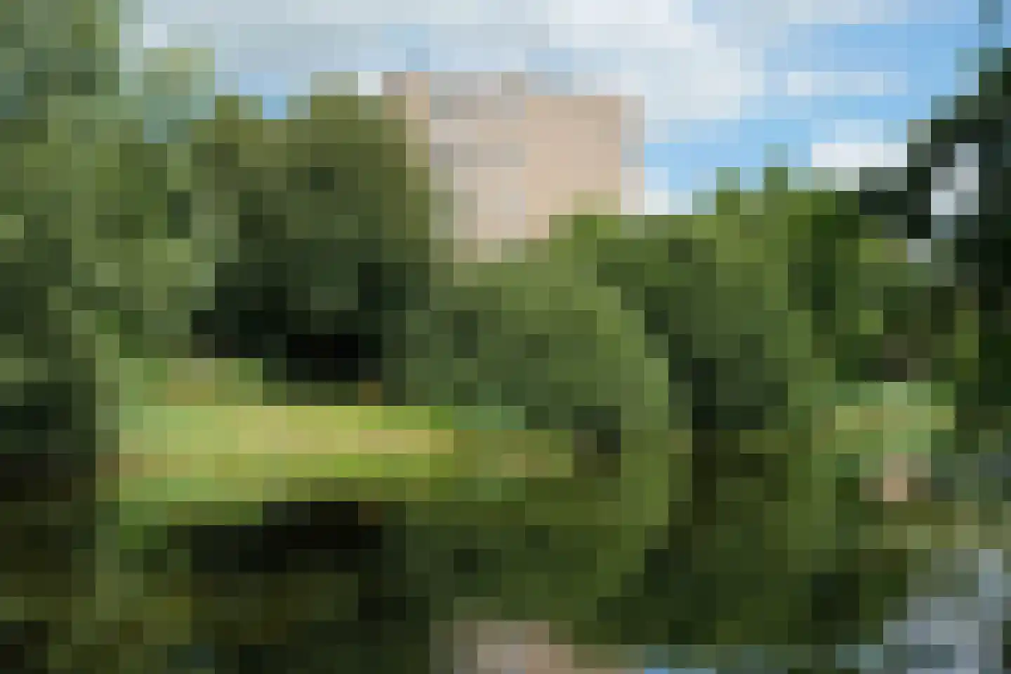 Mozartstraat 92 Almelo thumbnail 25