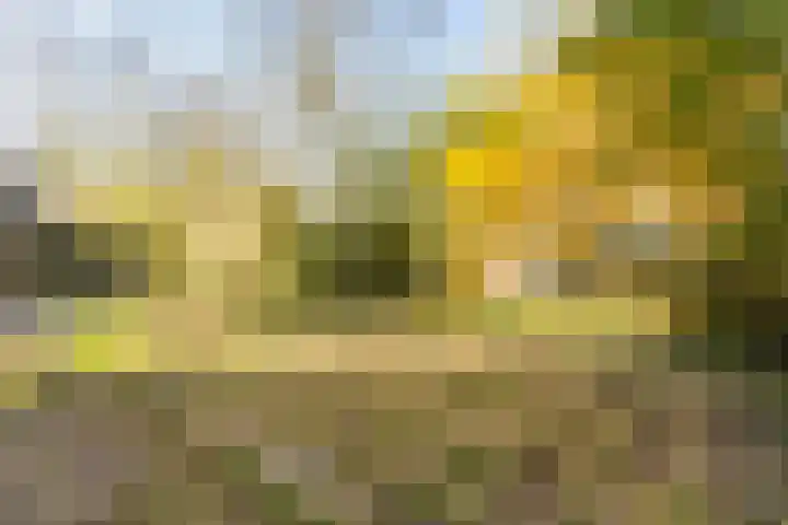 Mozartweg 101 B Amersfoort thumbnail 28