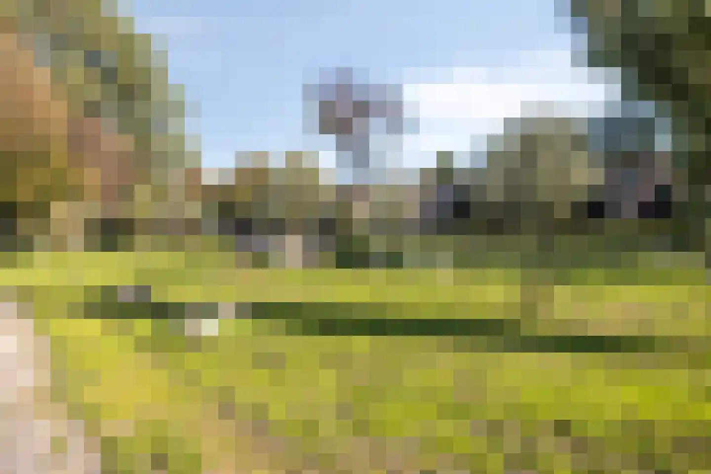Mozartweg 31 Spijkenisse thumbnail 24