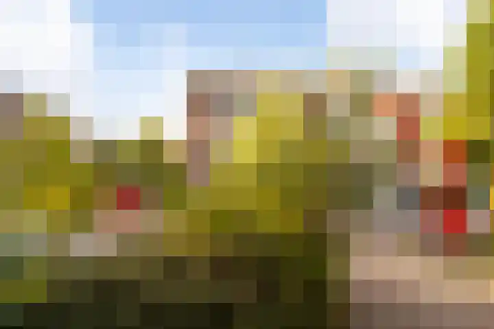 Mozartweg 37 B Amersfoort thumbnail 27