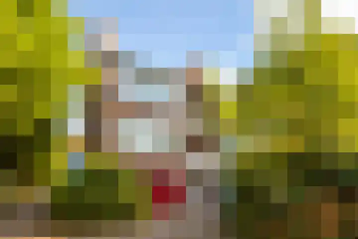 Mozartweg 37 B Amersfoort thumbnail 30