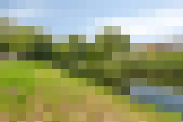 Mozartweg 47 Almere thumbnail 32