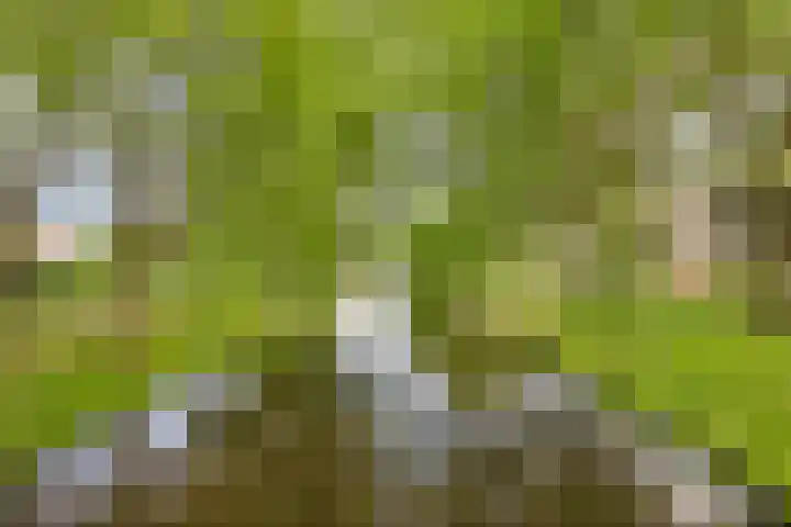 Mozartweg 47 Almere thumbnail 33
