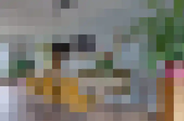 Mozartweg 5 Eelde thumbnail 13