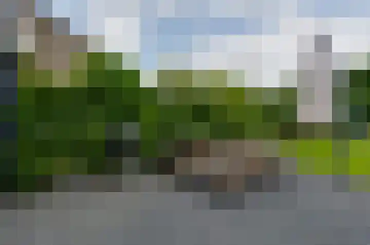 Mozartweg 5 Eelde thumbnail 42