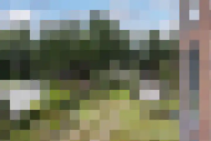 Mozartweg 54 H Amersfoort thumbnail 15