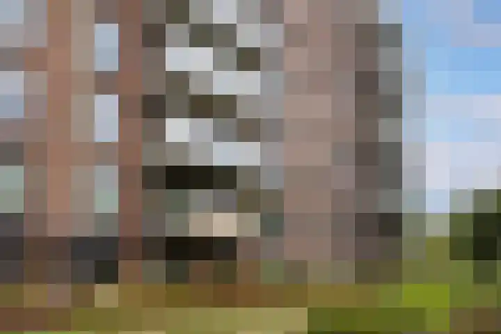 Mozartweg 54 H Amersfoort thumbnail 4