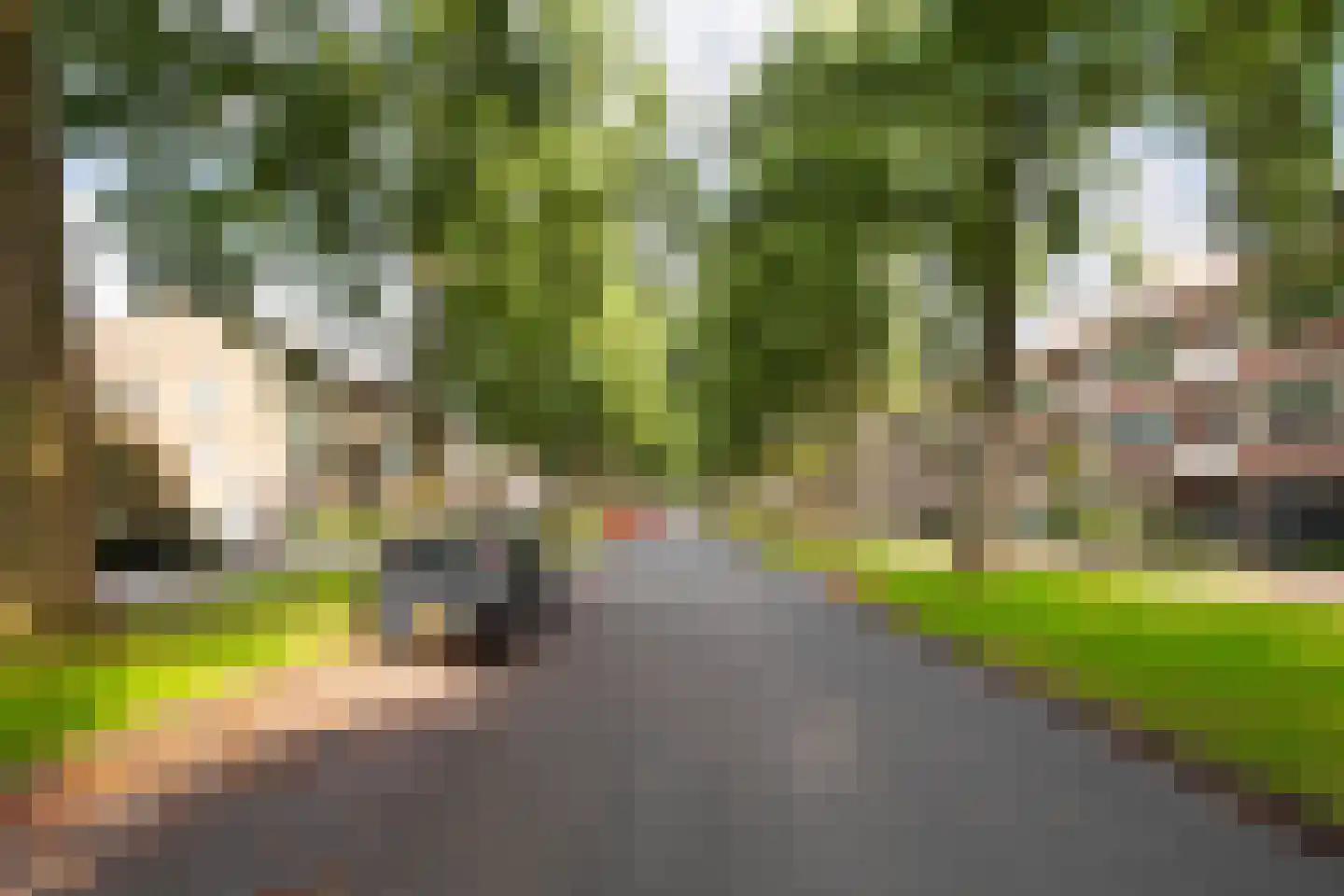 Mozartweg 57 B Amersfoort thumbnail 34