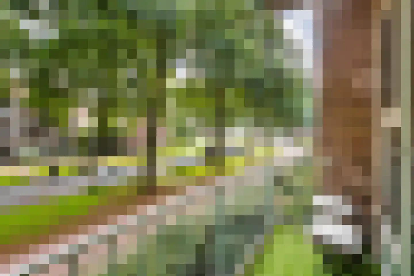Mozartweg 57 B Amersfoort thumbnail 5