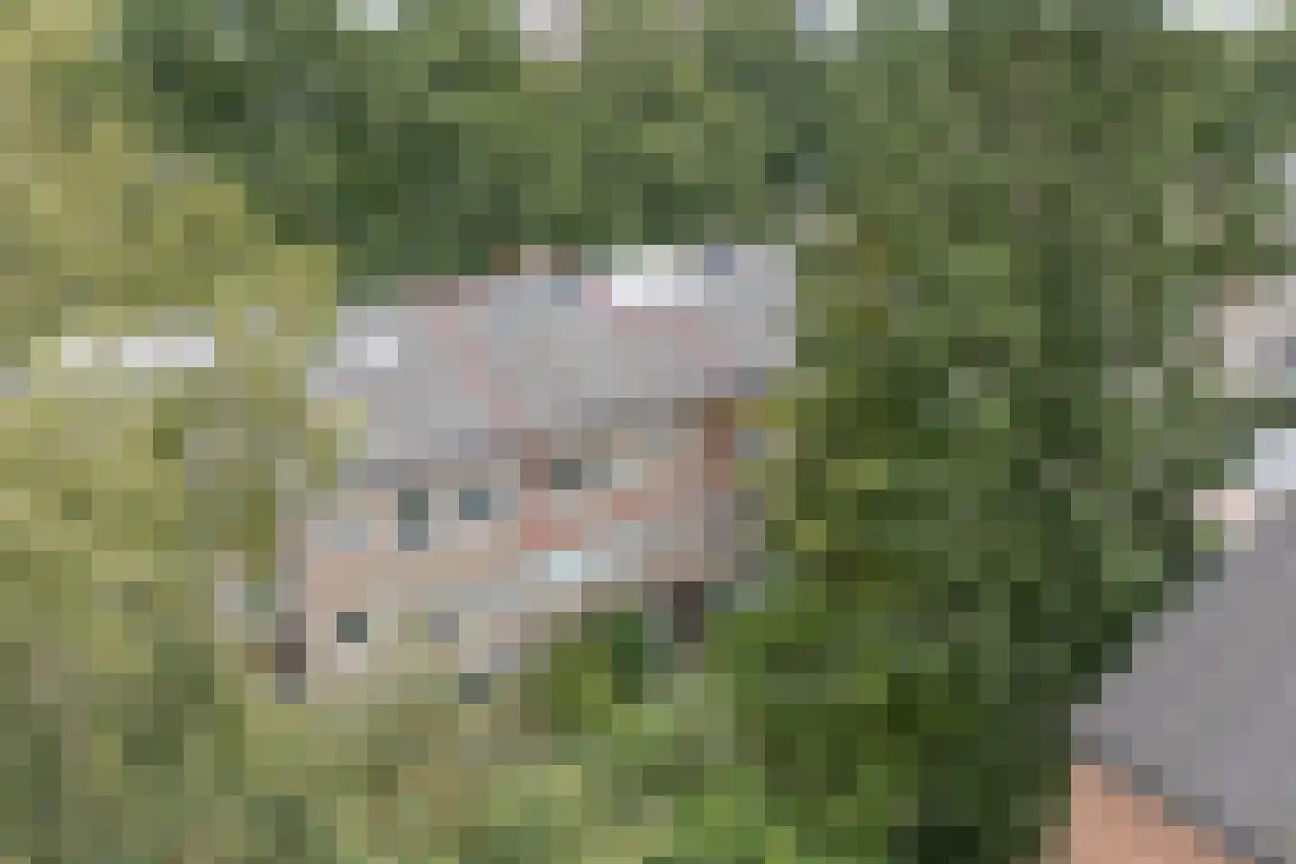 Mozartweg 63 C Amersfoort thumbnail 27