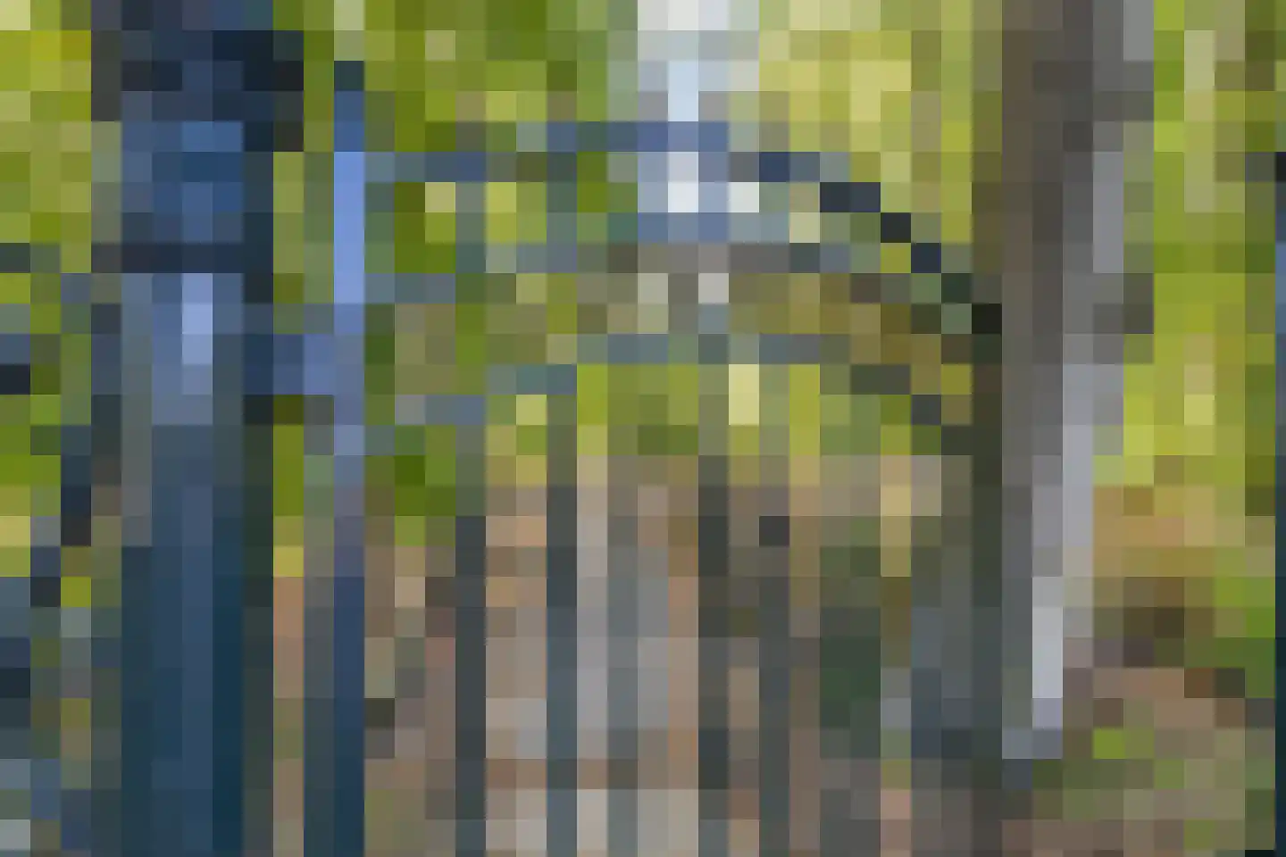 Mozartweg 63 C Amersfoort thumbnail 29
