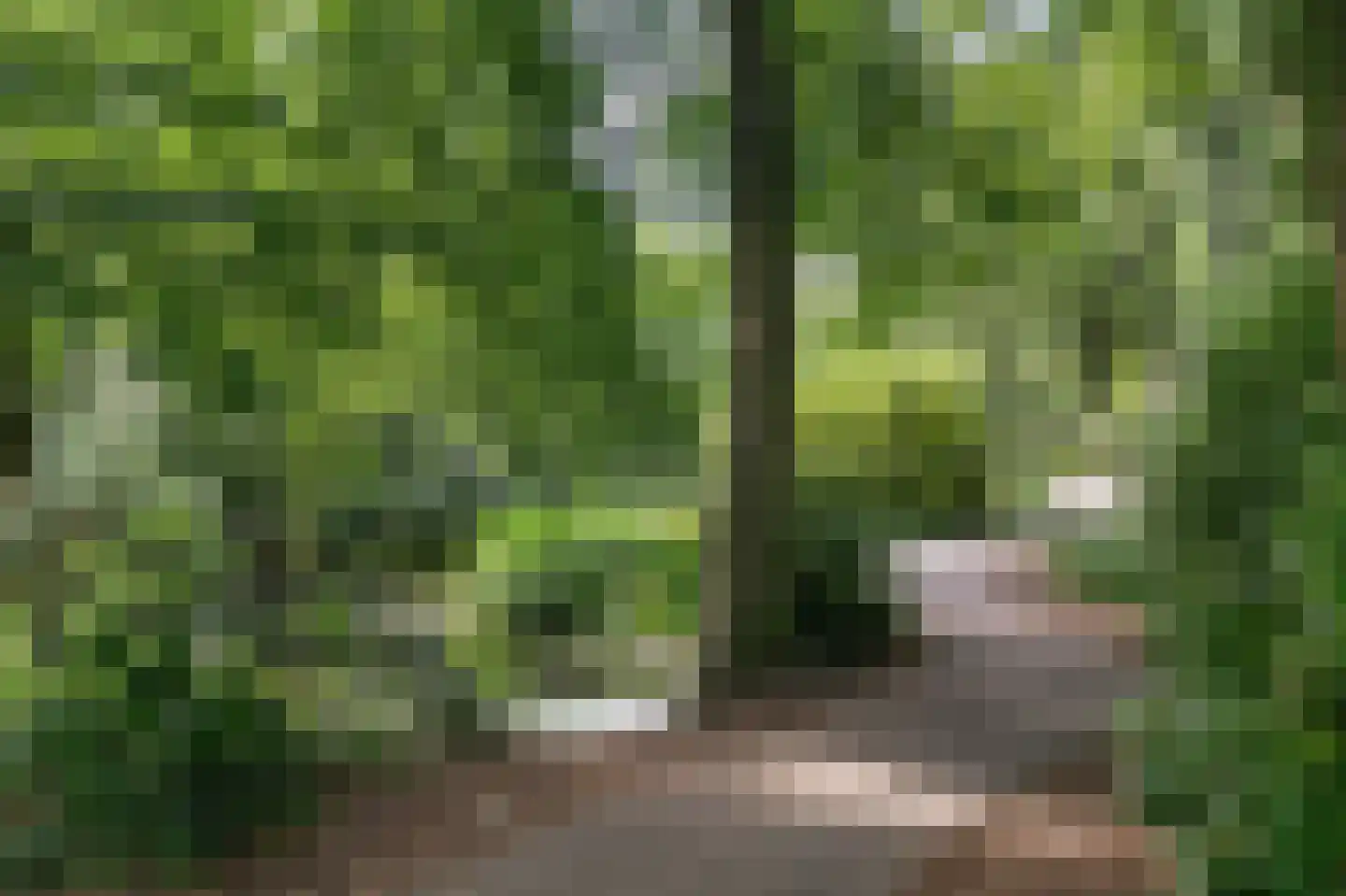 Mozartweg 63 C Amersfoort thumbnail 30