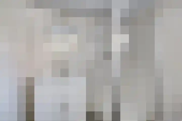 Mr. A. Pijnacker Hordijkstraat 9 Tiel thumbnail 13