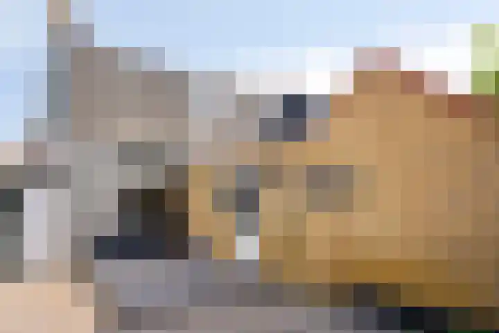 Mr. A. Pijnacker Hordijkstraat 9 Tiel thumbnail 24