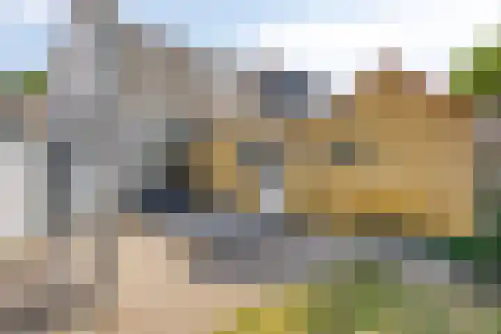 Mr. A. Pijnacker Hordijkstraat 9 Tiel thumbnail 25