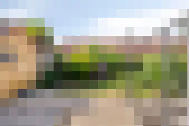 Mr. A. Pijnacker Hordijkstraat 9 Tiel thumbnail 4