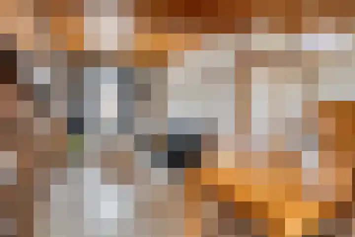 Mr. A. Pijnacker Hordijkstraat 9 Tiel thumbnail 8