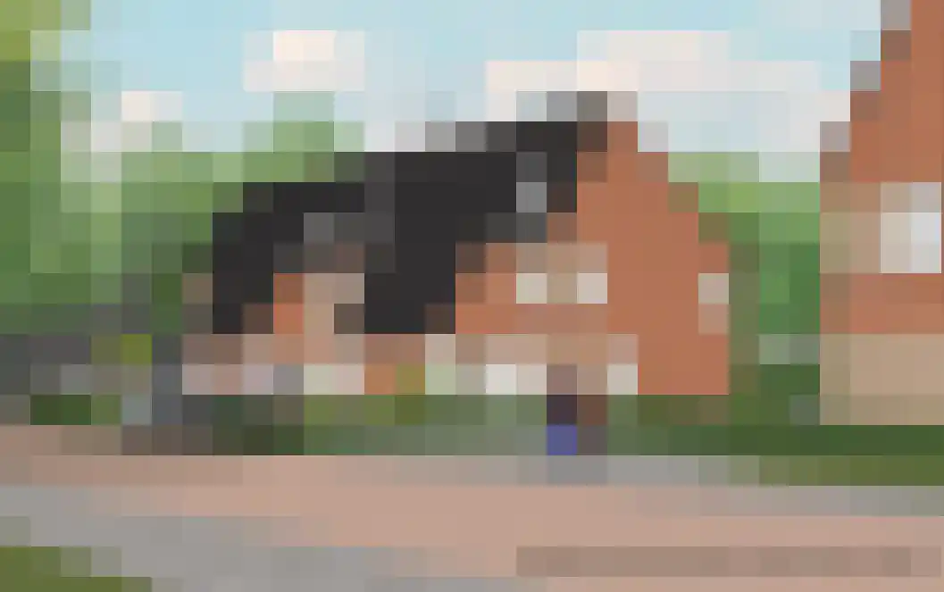Mr. A.T. Voslaan 5 Appingedam thumbnail 9