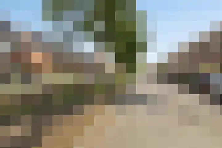 Mr. Arend van der Woudenslaan 58 Rotterdam foto 2