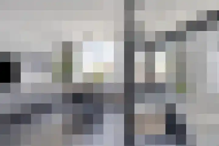 Mr. Arend van der Woudenslaan 58 Rotterdam thumbnail 5