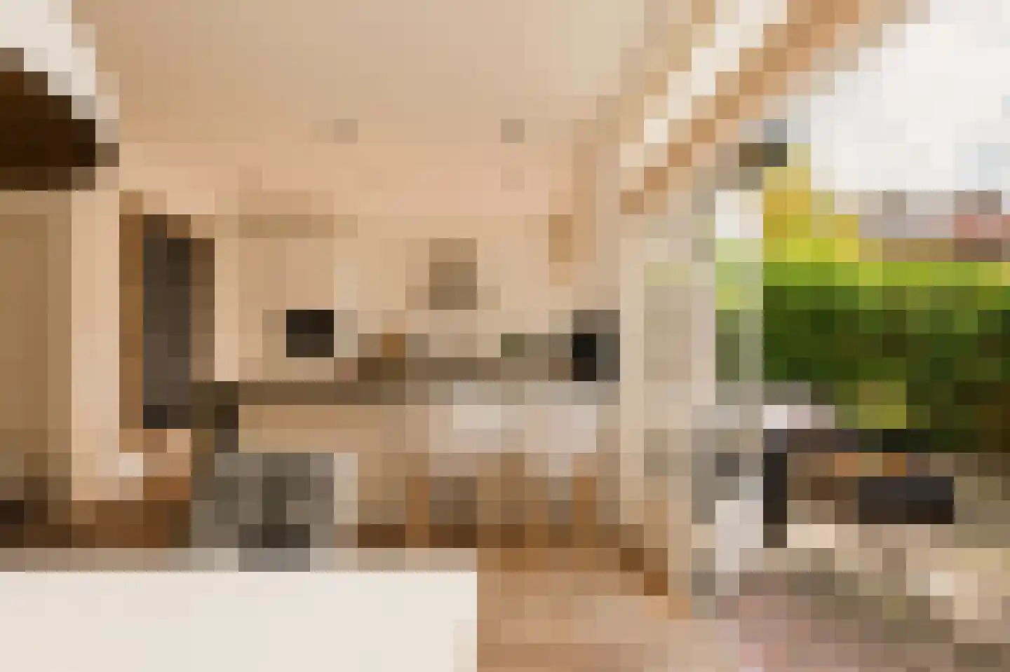 Mr. Bardeslaan 3 Amstelveen thumbnail 19