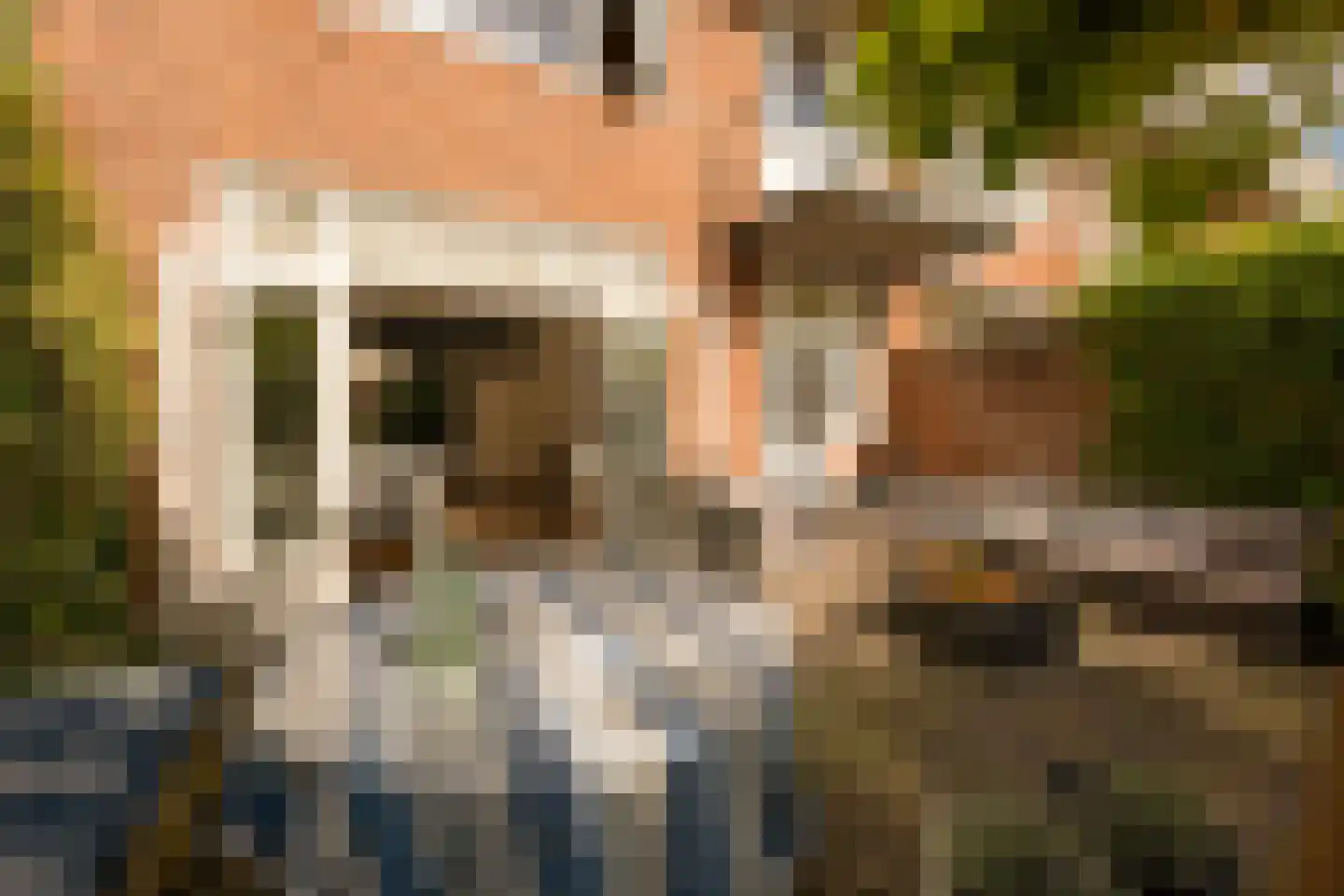 Mr. Bardeslaan 3 Amstelveen thumbnail 25