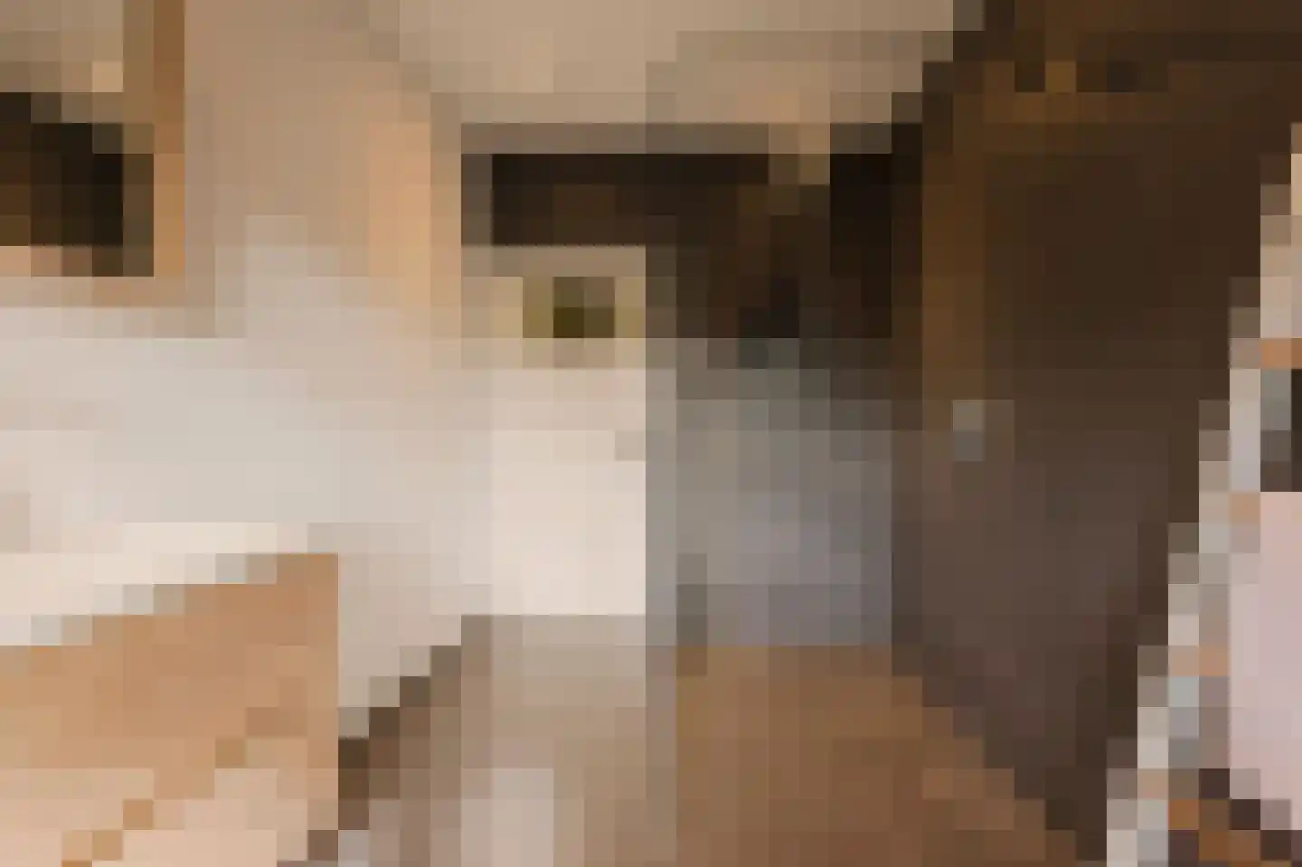 Mr. Bardeslaan 3 Amstelveen thumbnail 32