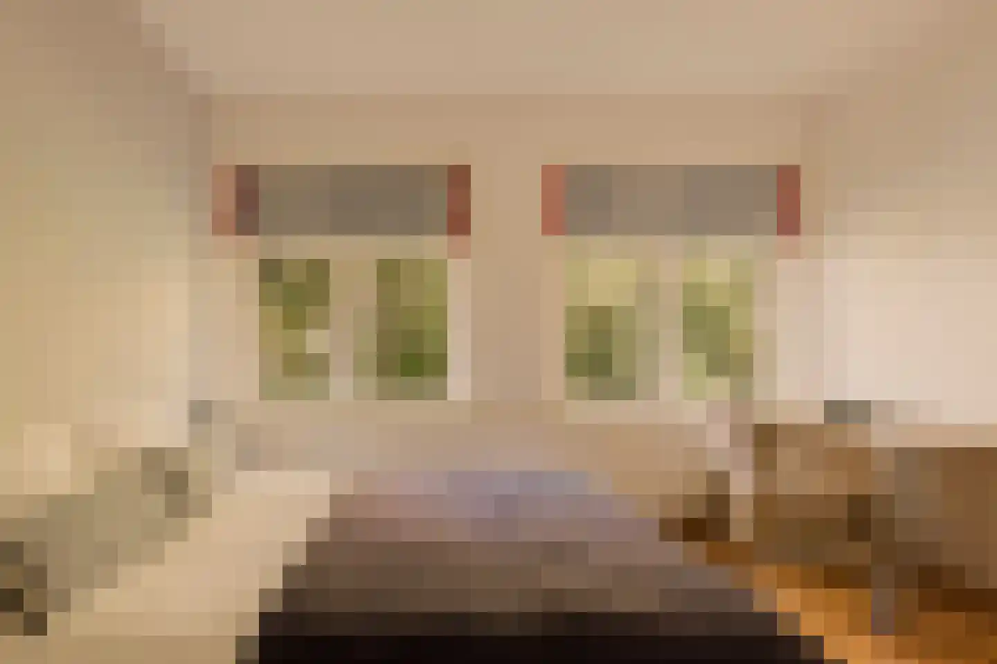Mr. Bardeslaan 3 Amstelveen thumbnail 36
