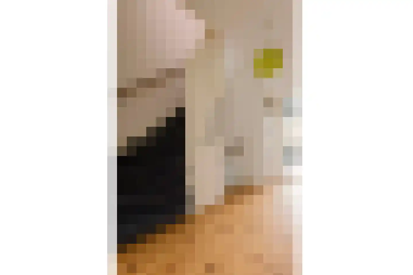 Mr. Bardeslaan 3 Amstelveen thumbnail 37