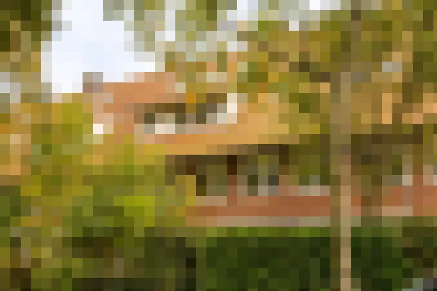 Mr. Bardeslaan 3 Amstelveen thumbnail 4