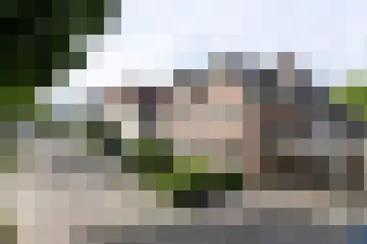 Mr. Beelpark 13 Ede thumbnail 4