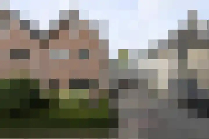 Mr. Beelpark 13 Ede thumbnail 5
