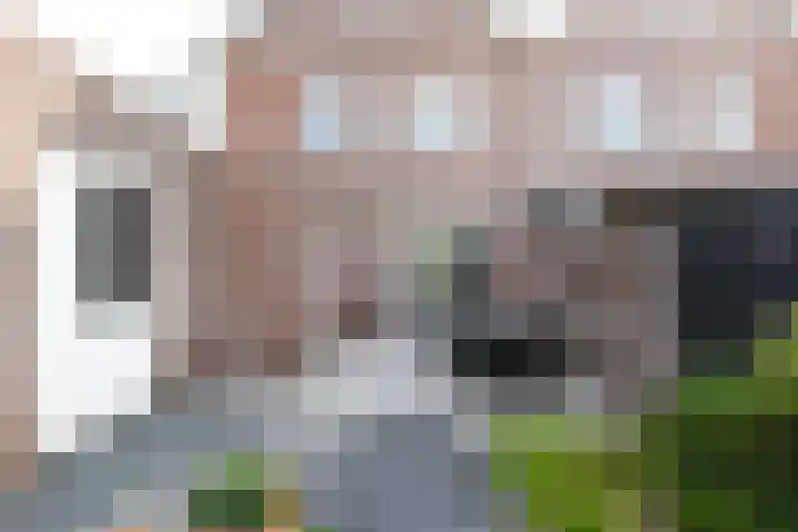 Mr. Beelpark 13 Ede thumbnail 7