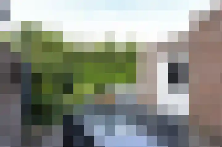 Mr. Beelpark 13 Ede thumbnail 8