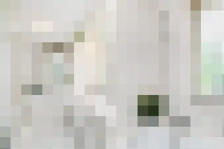 Mr. Beerninkplantsoen 2 Rijswijk thumbnail 20