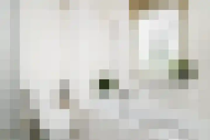 Mr. Beerninkplantsoen 2 Rijswijk thumbnail 22
