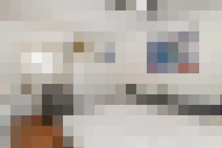 Mr. Beerninkplantsoen 2 Rijswijk thumbnail 25