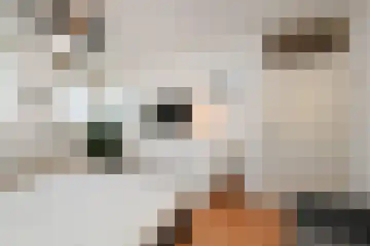 Mr. Beerninkplantsoen 2 Rijswijk thumbnail 26