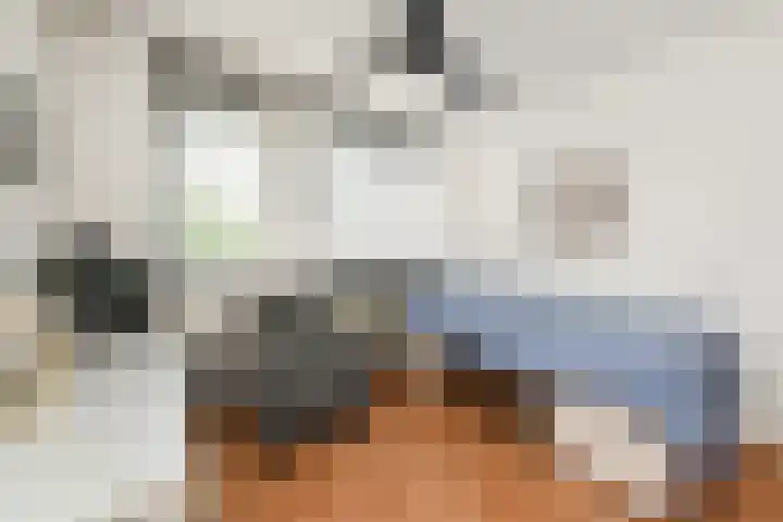 Mr. Beerninkplantsoen 2 Rijswijk thumbnail 27