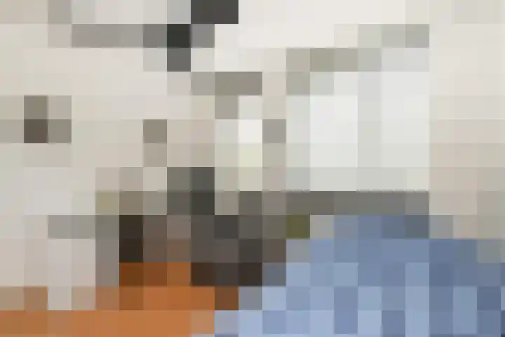 Mr. Beerninkplantsoen 2 Rijswijk thumbnail 29