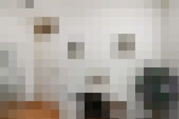 Mr. Beerninkplantsoen 2 Rijswijk thumbnail 30