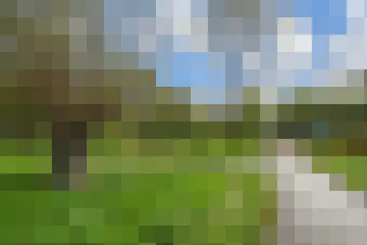 Mr. Beerninkplantsoen 2 Rijswijk thumbnail 48
