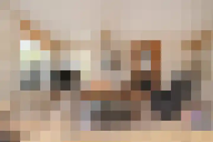 Mr. Beerninkplantsoen 2 Rijswijk thumbnail 7